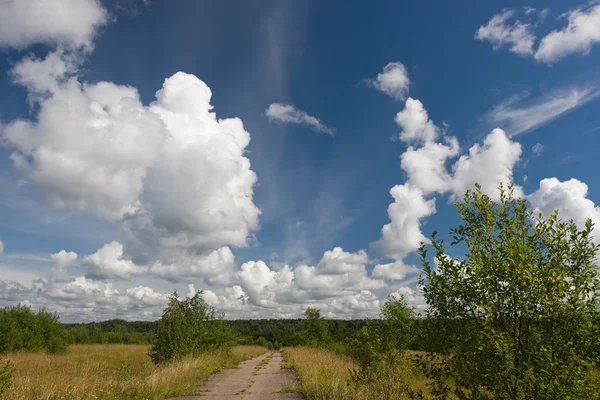 Летний пейзаж с красивыми облаками — стоковое фото