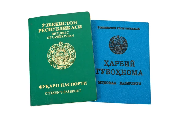 Özbekistan pasaportu ve askeri kimlik — Stok fotoğraf