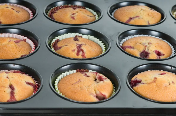 stock image Prepering cup-cakes