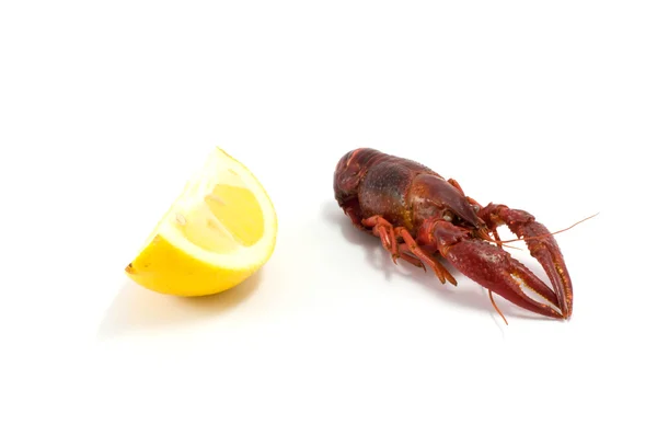 Crawfish/lobster — Stock Photo, Image