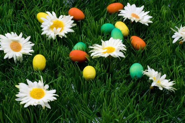 stock image Easter grass