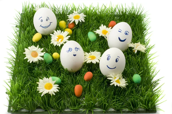 stock image Happy eggs