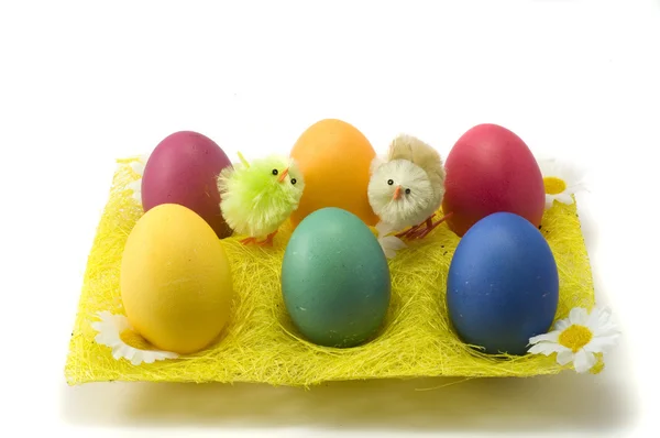 stock image Easter eggs