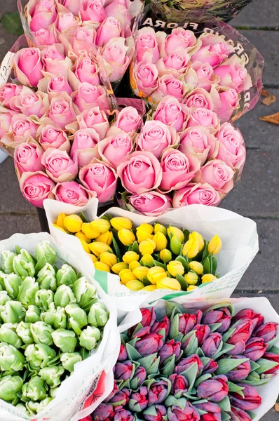 Rosas y tulipanes —  Fotos de Stock