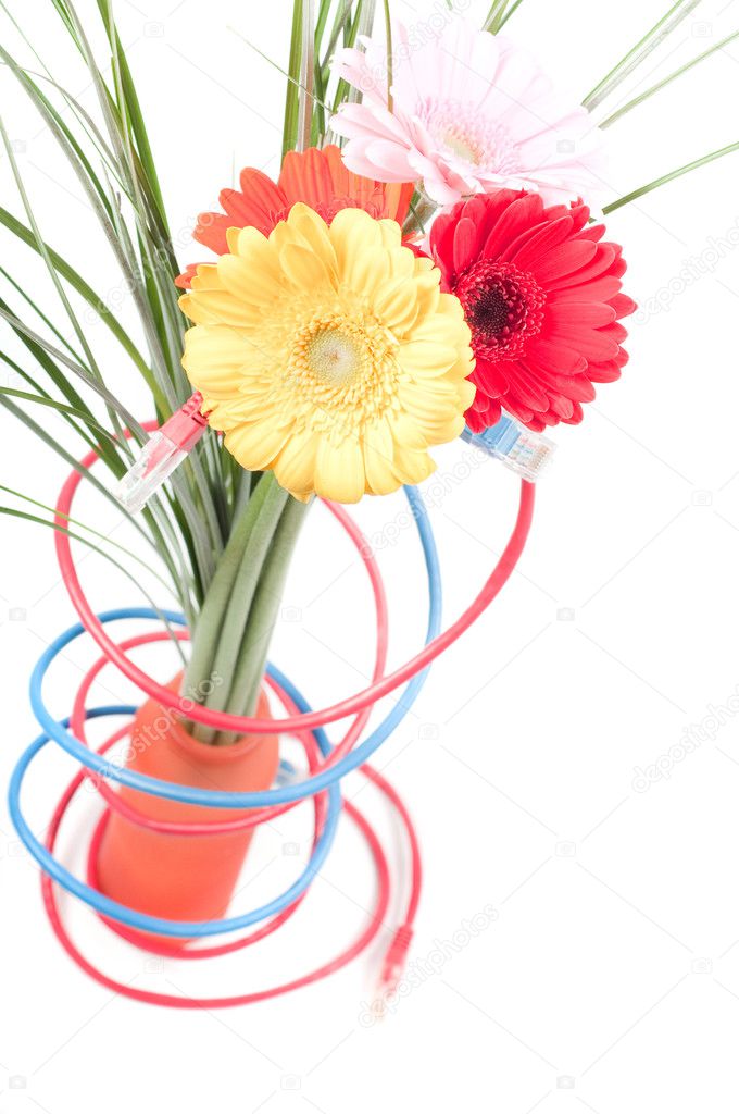 Wires and flowers concepts