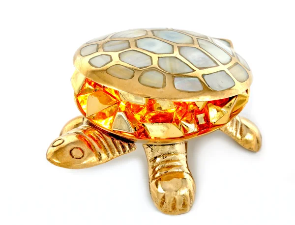 Золото черепаха — стокове фото