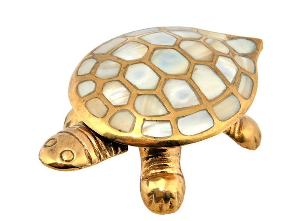 Gold turtle — Stock Photo, Image