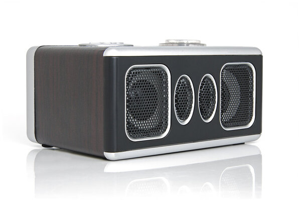 Minispeaker. Audio box for mobile phones and laptops with card-reader, amplifier and MP3 player