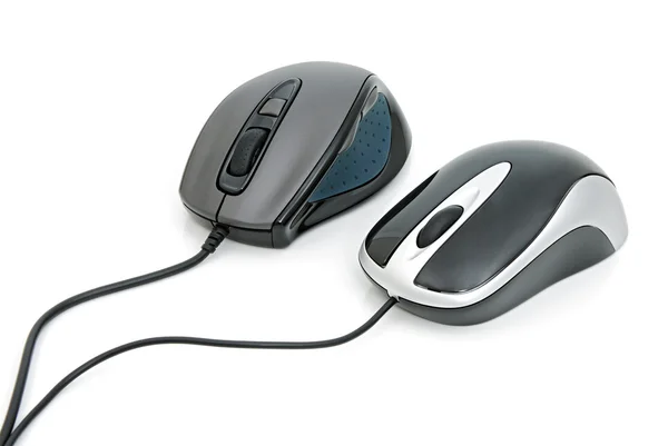 Multimedia computer mouses — Stock Photo, Image