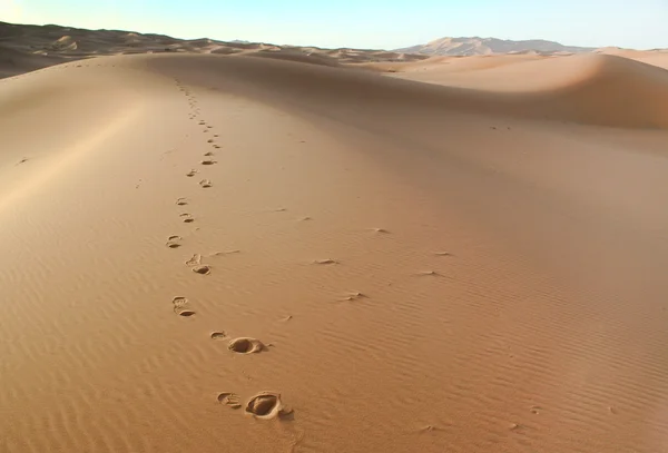 Marockanska öknen dune bakgrund — Stockfoto