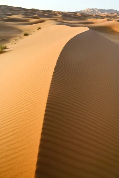 Marokański pustynia tło — Zdjęcie stockowe