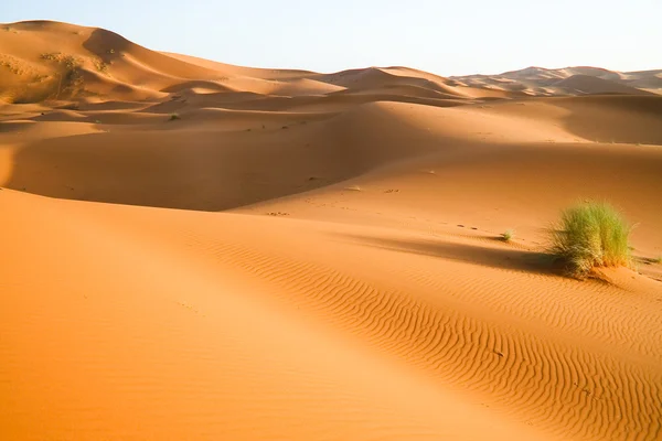 Duna do deserto marroquino fundo — Fotografia de Stock