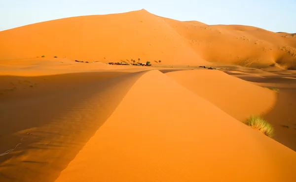Pozadí marockých pouštní duny — Stock fotografie