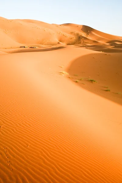 Marokkaanse woestijn Duin achtergrond — Stockfoto
