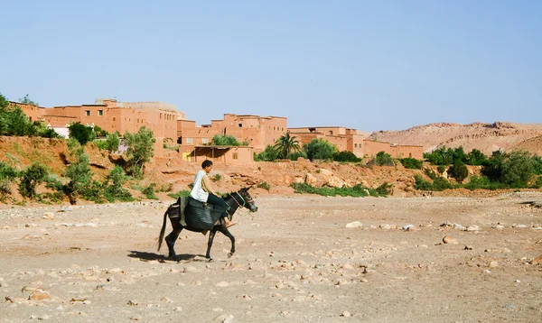 馬のライダー。モロッコ — ストック写真