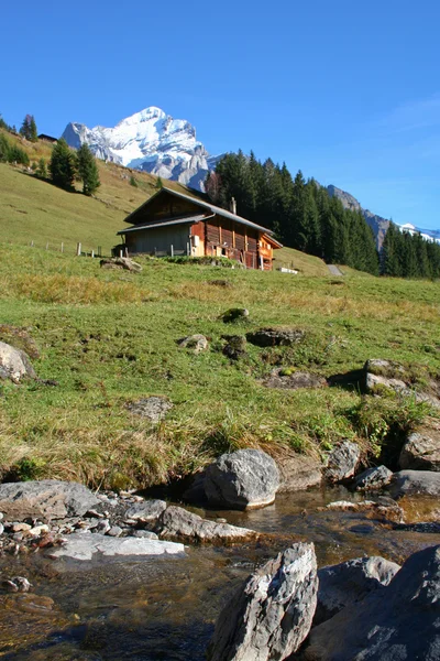 Alppimaisema. Sveitsi . — kuvapankkivalokuva