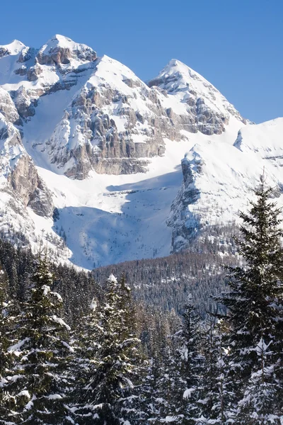 Hochgebirge unter Schnee in der Winte — Stockfoto