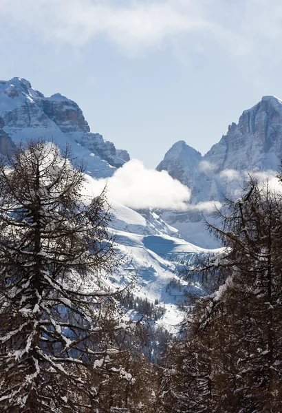 Hoge bergen onder de sneeuw in de winte — Stockfoto