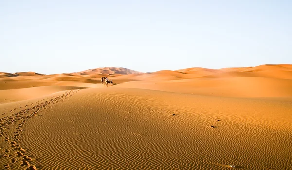 Fond dune désert marocain — Photo