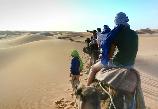 Camel caravan — Stock Photo, Image