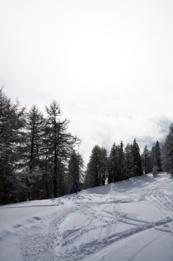 Kayak tesisi madonna di campiglio. İtalya