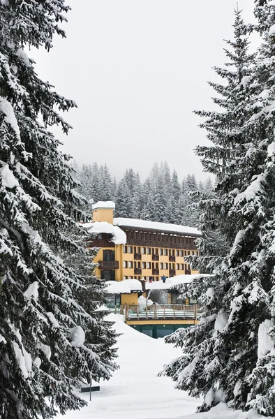 Estación de esquí Madonna di Campiglio. Italia —  Fotos de Stock