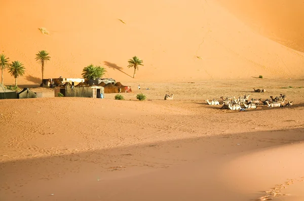 摩洛哥沙漠沙丘背景 — 图库照片