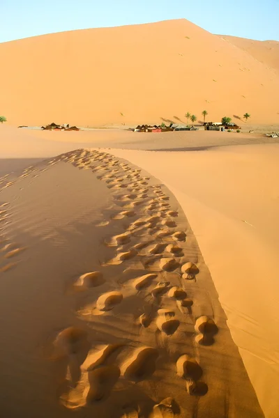 Marokkanische Wüste Düne Hintergrund — Stockfoto
