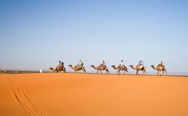 Velbloudí karavana prochází písek — Stock fotografie