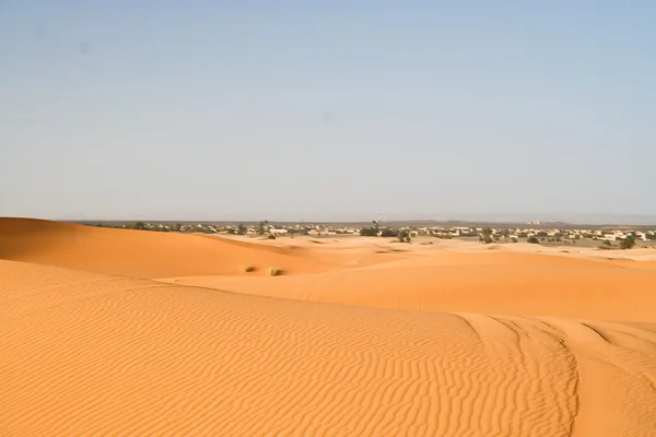 Μαροκινή αμμόλοφο έρημο — Φωτογραφία Αρχείου