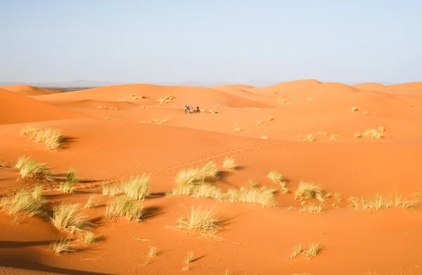 Марокканская дюна — стоковое фото