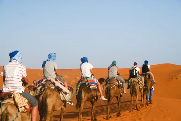 Kum ile gidiş deve karavan — Stok fotoğraf