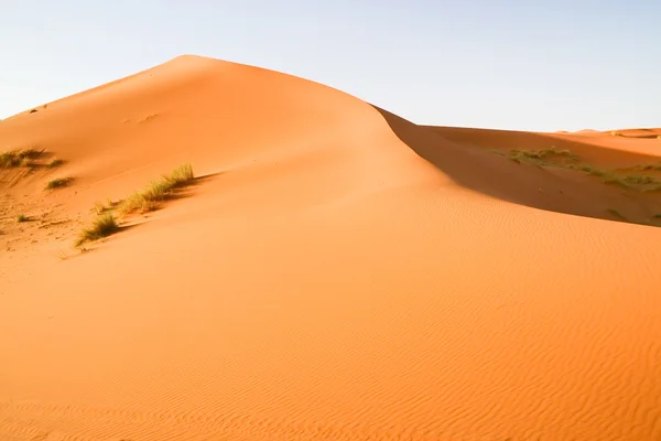Marokkaanse woestijn Duin — Stockfoto