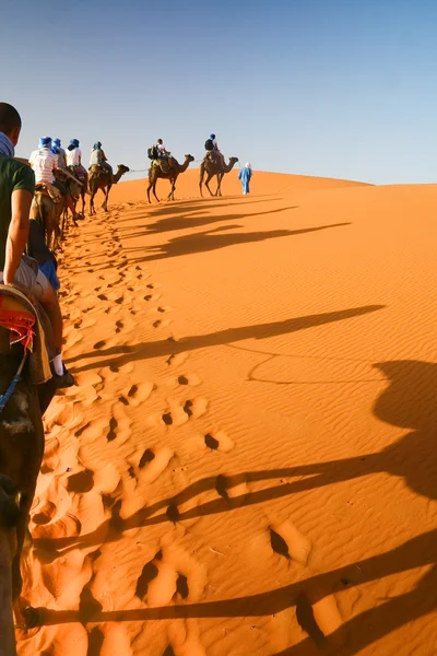 Velbloudí karavana prochází písek — Stock fotografie
