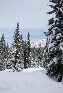 Kayak tesisi madonna di campiglio. İtalya