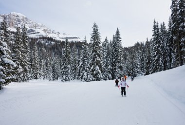 Kayak tesisi madonna di campiglio. İtalya