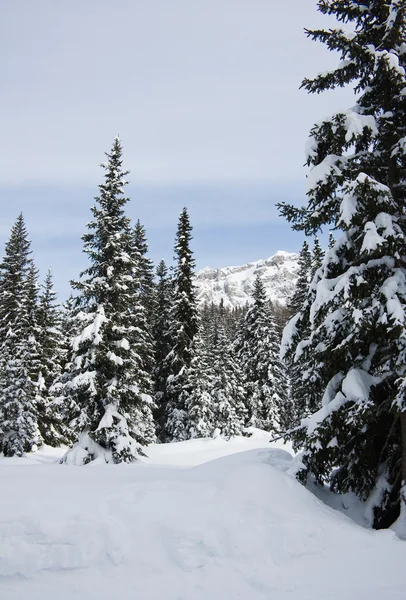 stock image Ski resort Madonna di Campiglio. Italy