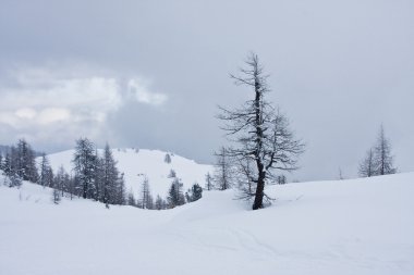 High mountains under snow in the winter clipart