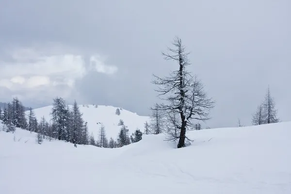 Ψηλά βουνά κάτω από το χιόνι το χειμώνα — Φωτογραφία Αρχείου