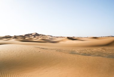 Fas çöl dune