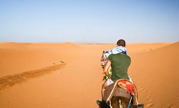 Caravana de camelo atravessando a areia — Fotografia de Stock