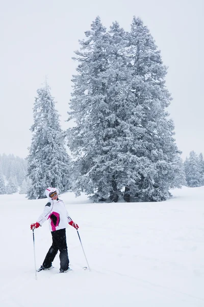 Smrky a lyžař — Stock fotografie