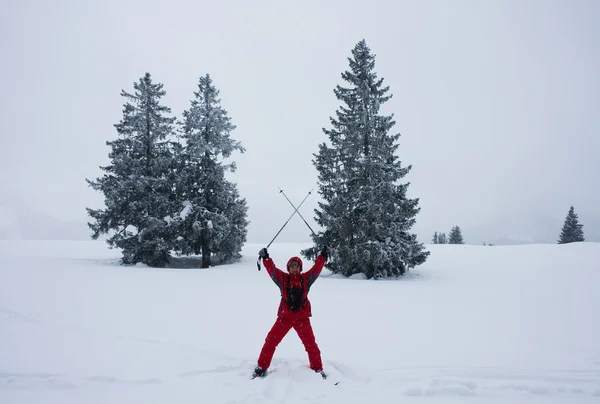 Ladin ve kayakçı — Stok fotoğraf