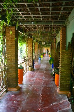 Jardine majorelle Marrakesh, morocco