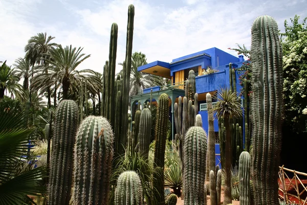 Jardine Majorelle em Marrakesh, Marrocos — Fotografia de Stock
