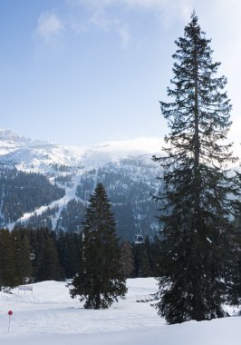 Kayak tesisi madonna di campiglio. İtalya