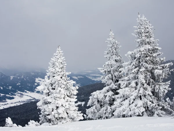 在冬天的雪下的山脉 — 图库照片
