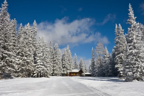 Paesaggio invernale dopo la neve — Foto Stock