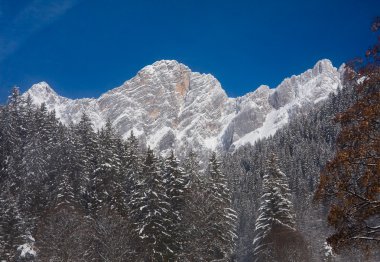 dachstein görüntüleyin. Avusturya