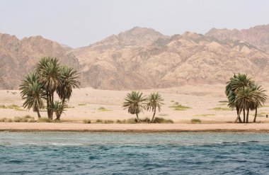 Mısır dahab, Sina Yarımadası. Kızıl Deniz.